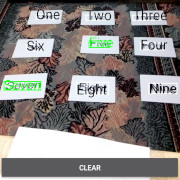 Pifloor Application Image